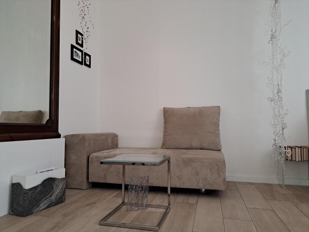 Slovenian Art Story Apartment Ljubljana Bagian luar foto