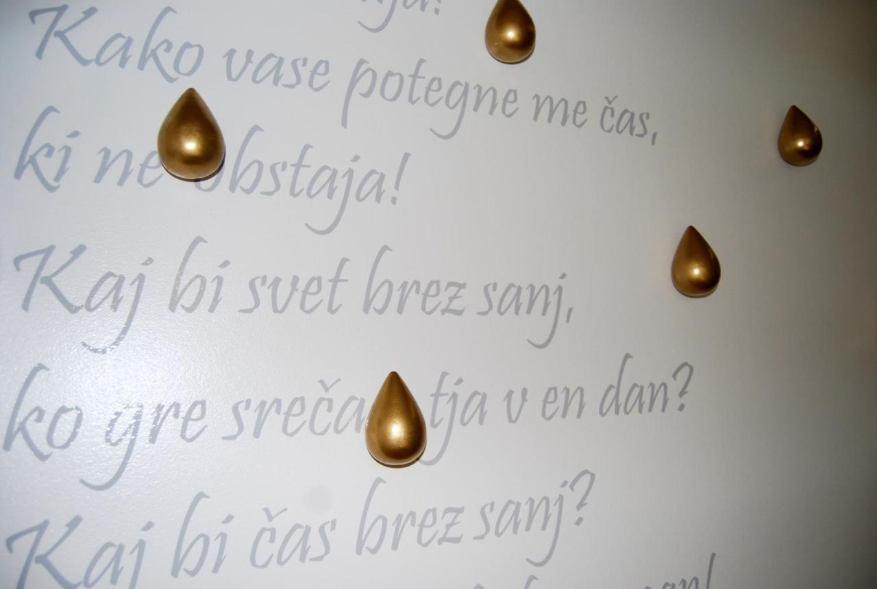Slovenian Art Story Apartment Ljubljana Bagian luar foto