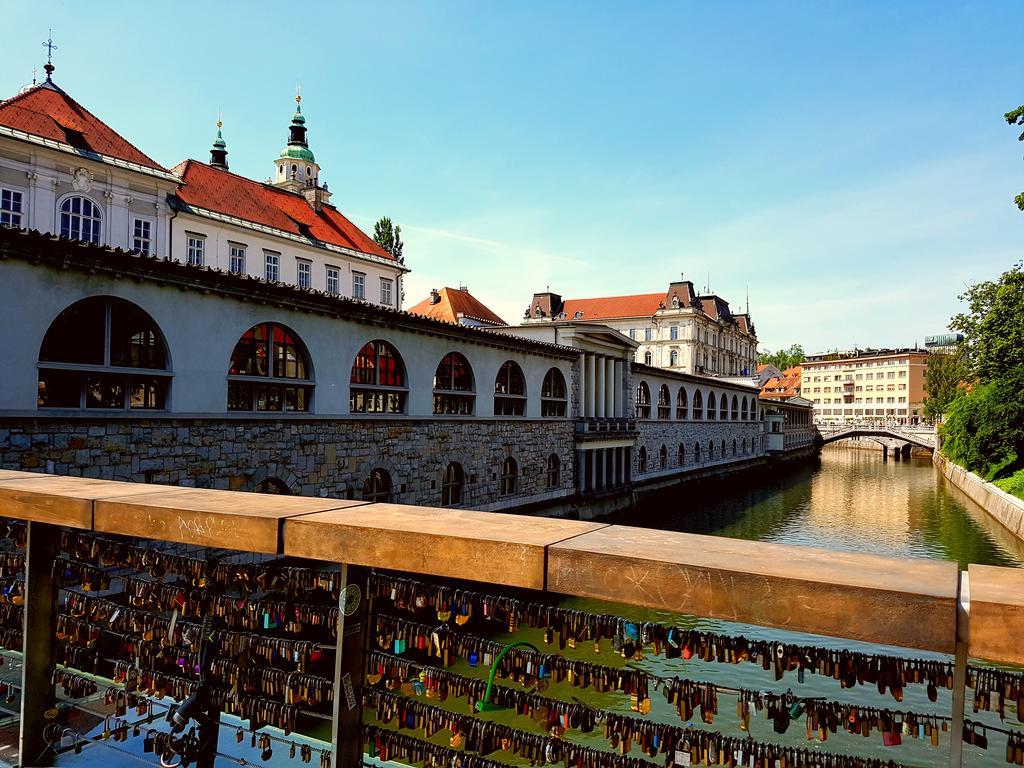 Slovenian Art Story Apartment Ljubljana Bagian luar foto