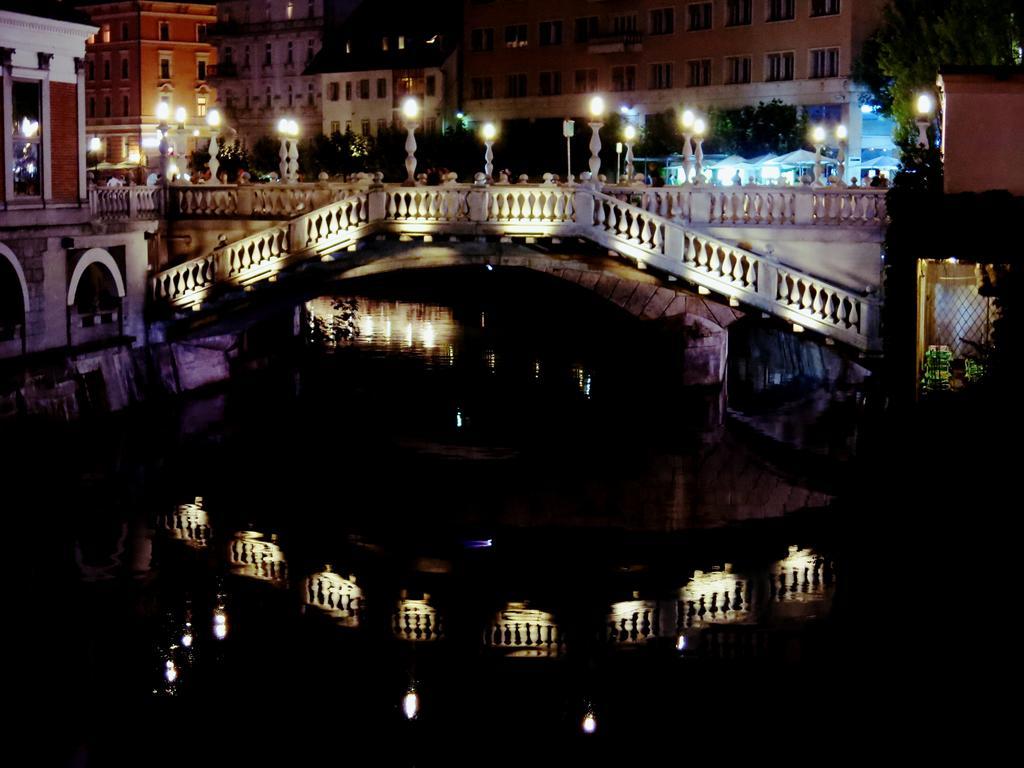 Slovenian Art Story Apartment Ljubljana Bagian luar foto