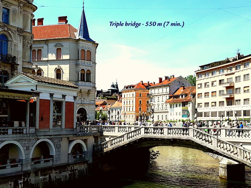Slovenian Art Story Apartment Ljubljana Bagian luar foto