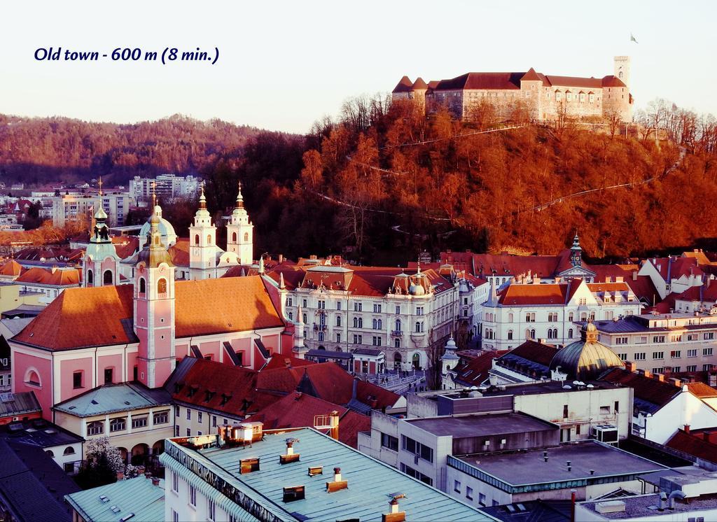 Slovenian Art Story Apartment Ljubljana Bagian luar foto